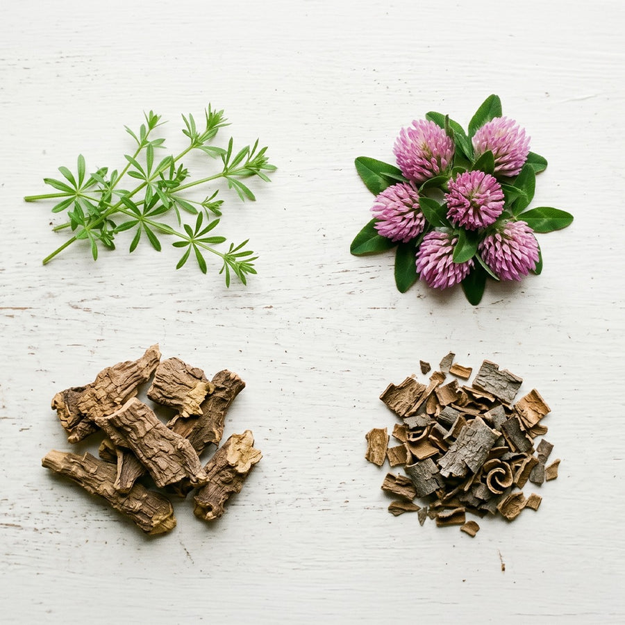03. The 4 Herbs in Nuflos Have a Centuries-Long Track Record